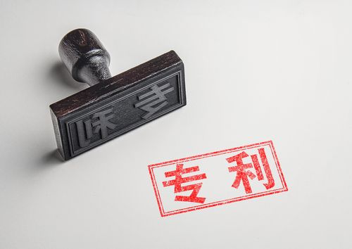 专利申请中说明书及其摘要不能允许的增加内容的修改